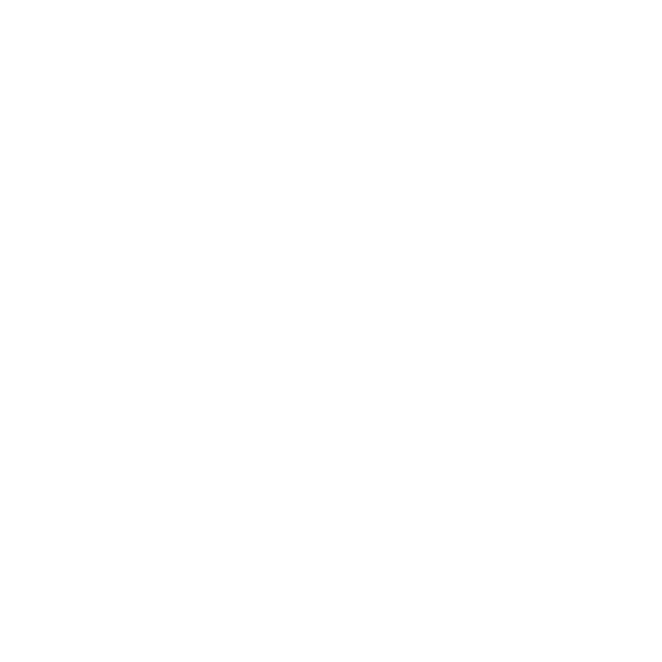 KeepSecure logo